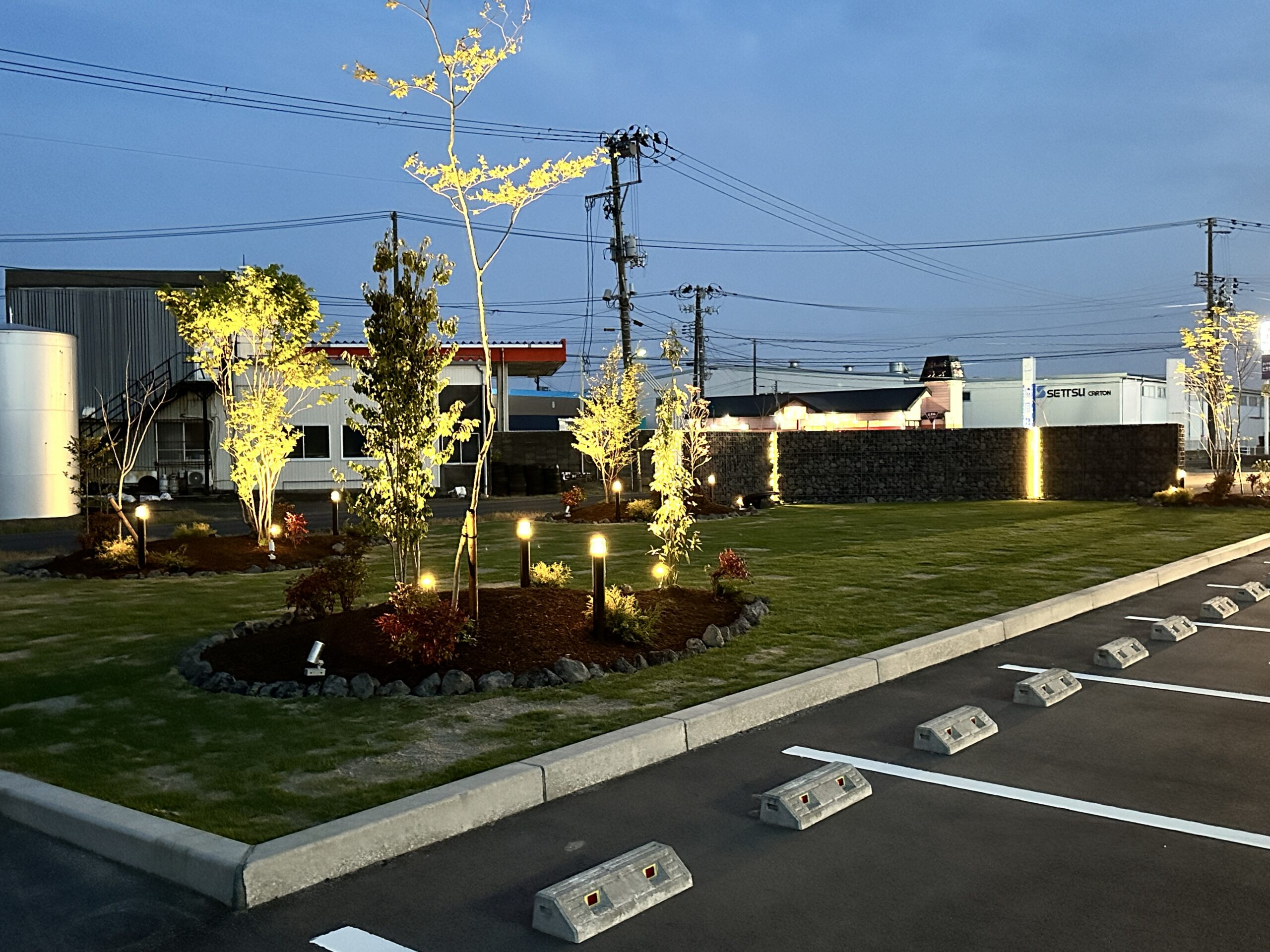 施工後の駐車場緑地。芝生の植栽帯にライトアップされた樹木と、蛇籠風の塀