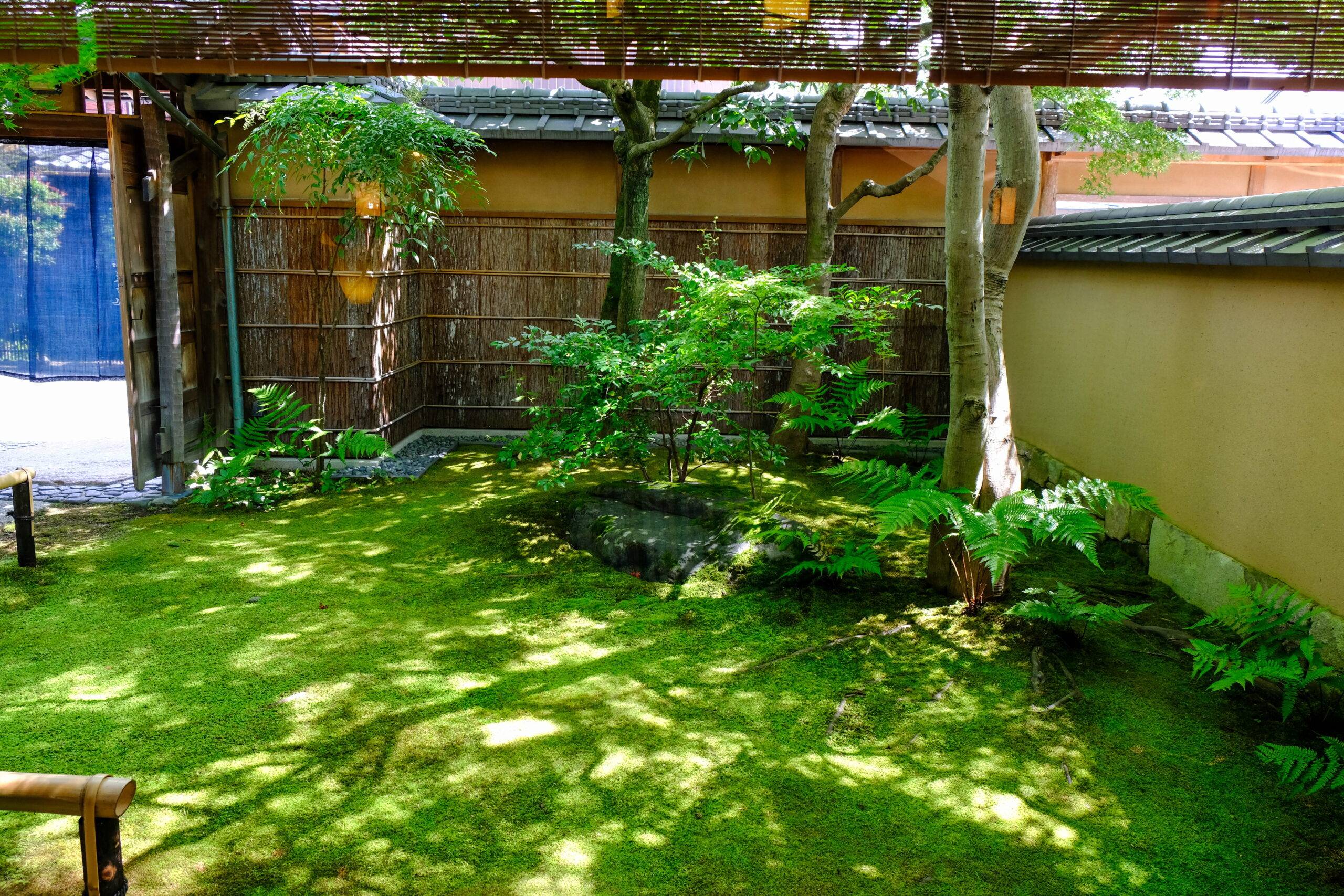 芝生と植栽のある庭