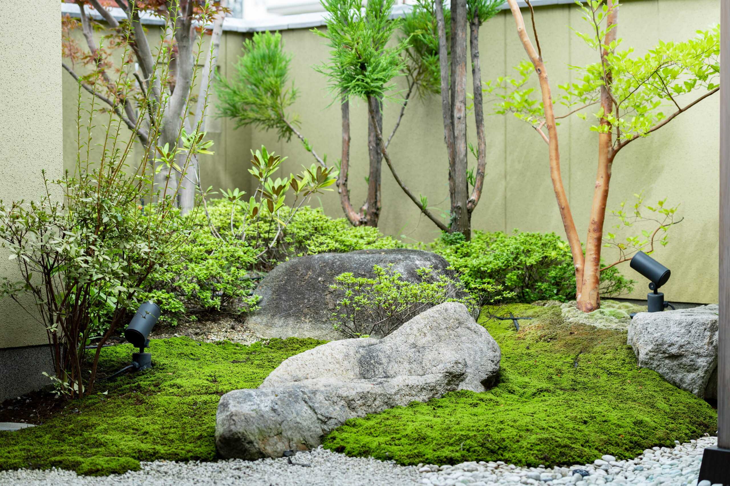 石と植栽のある日本庭園