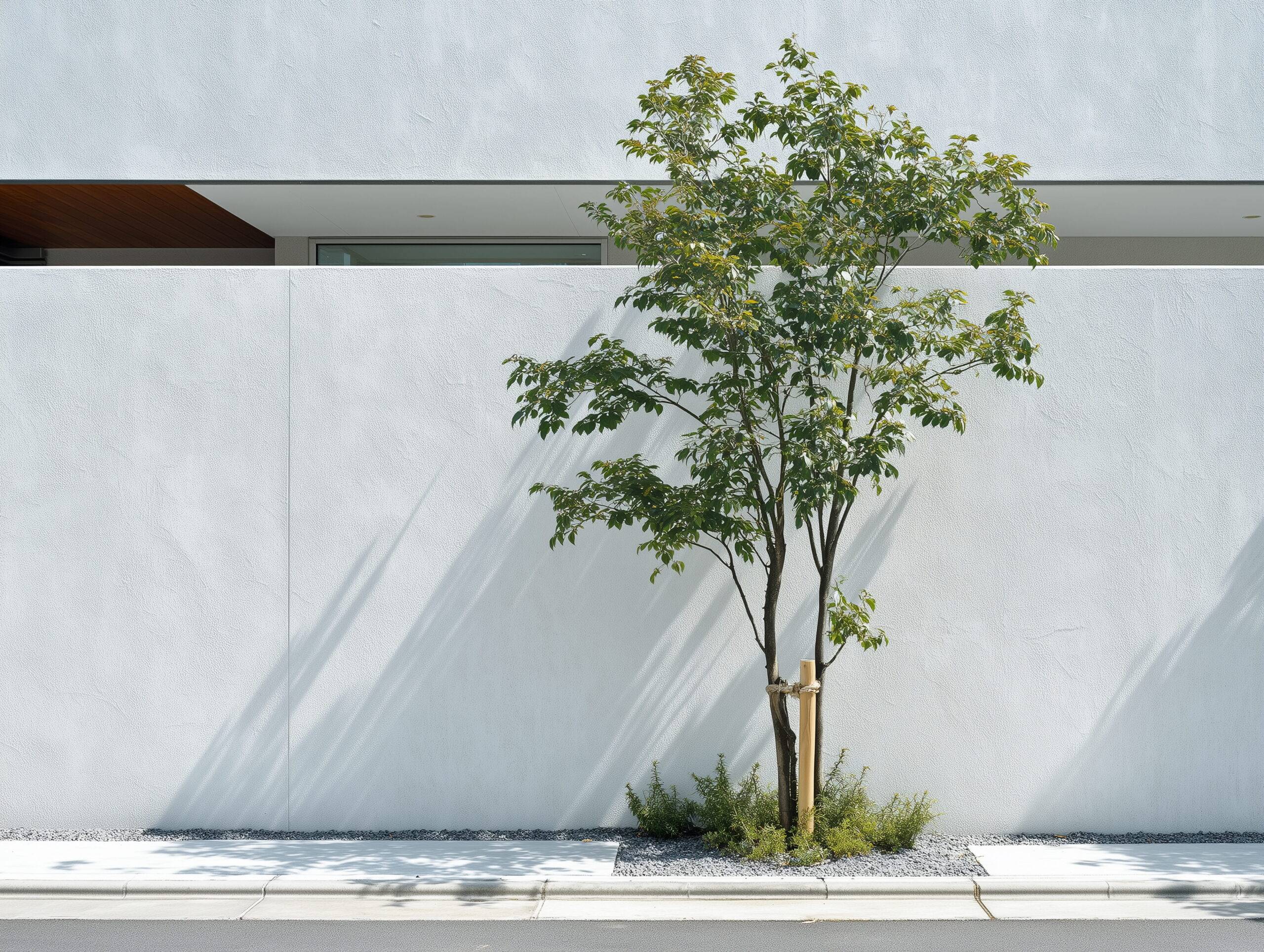 白い壁と植栽